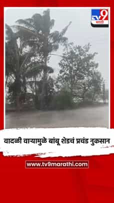 वादळी वाऱ्यामुळे बांबू शेडचं प्रचंड नुकसान-1682321