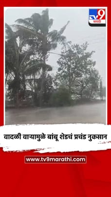 वादळी वाऱ्यामुळे बांबू शेडचं प्रचंड नुकसान-1682321