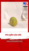 गणपती बाप्पा तर थेट आंब्यात... गणेश मूर्तीचा आंबा चर्चेत