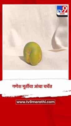 गणपती बाप्पा तर थेट आंब्यात... गणेश मूर्तीचा आंबा चर्चेत-1683304