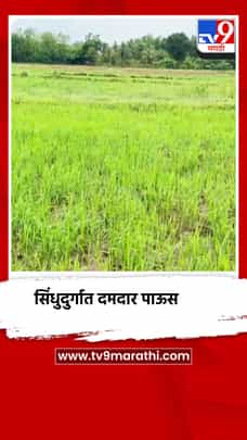 पंधरा दिवसाच्या विश्रांतीनुसार सिंधुदुर्गात दमदार पाऊस-1696324