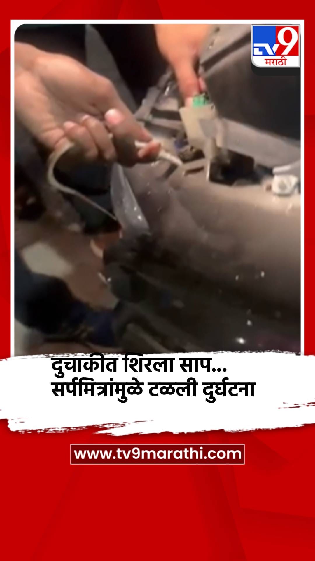 दुचाकीत शिरला साप... सर्पमित्रांमुळे टळली दुर्घटना-1699923