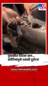 दुचाकीत शिरला साप... सर्पमित्रांमुळे टळली दुर्घटना