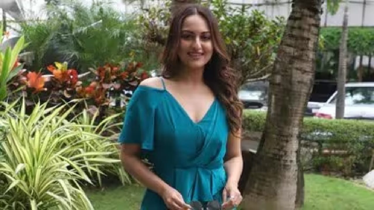 दुसरीकडे, तिच्या यशस्वी चित्रपटांच्या यादीत सन ऑफ सरदार, दबंग आणि राउडी राठौर, दबंग 2, दबंग 3, हॉलीडे आणि आर.....राजकुमार यांचा समावेश आहे. फिल्मी पार्श्वभूमी आणि दमदार पदार्पण असूनही सोनाक्षीला वडिलांप्रमाणे मोठे आणि सातत्यपूर्ण यश मिळाले नाही.