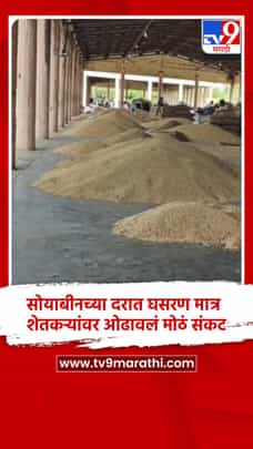 सोयाबीनच्या दरात घसरण मात्र शेतकऱ्यांवर ओढावलं मोठं संकट-1694393