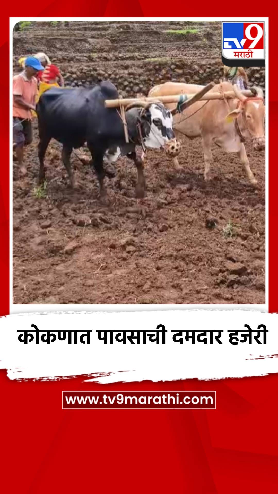 कोकणात पावसाची दमदार हजेरी-1697905