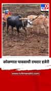 कोकणात पावसाची दमदार हजेरी