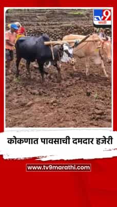 कोकणात पावसाची दमदार हजेरी-1697905