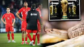 एक चूक आणि...! FIFA World Cup स्पर्धेत सापांची भीती, या संघाला इशारा.