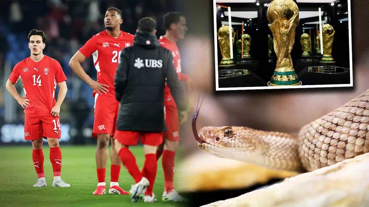 एक चूक आणि...! FIFA World Cup स्पर्धेत सापांची भीती, या संघाला आधीच दिला इशारा