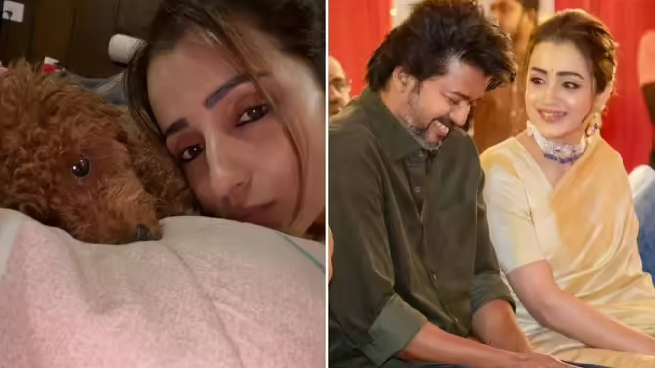 थलपती विजय यांच्यासोबतच्या नात्यावरून ट्रोल करणाऱ्यांना त्रिशाचं सडेतोड उत्तर; ‘नाक खुपसण्याची..’