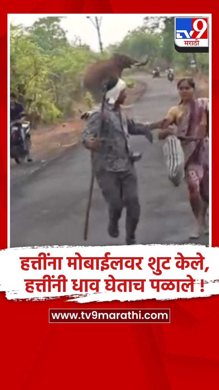 गडचिरोलीत हत्तींच्या सेल्फीच्या नादात तरुणांचा जीव धोक्यात, हल्ल्यातून थोडक्यात बचावले