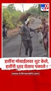 गडचिरोलीत हत्तींच्या सेल्फीच्या नादात तरुणांचा जीव धोक्यात, हल्ल्यातून थोडक्यात बचावले.