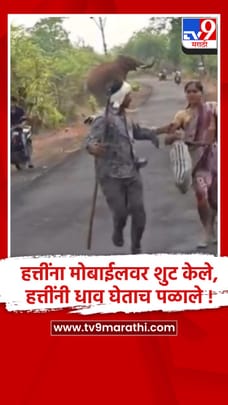 गडचिरोलीत हत्तींच्या सेल्फीच्या नादात तरुणांचा जीव धोक्यात, हल्ल्यातून थोडक्यात बचावले-1681330