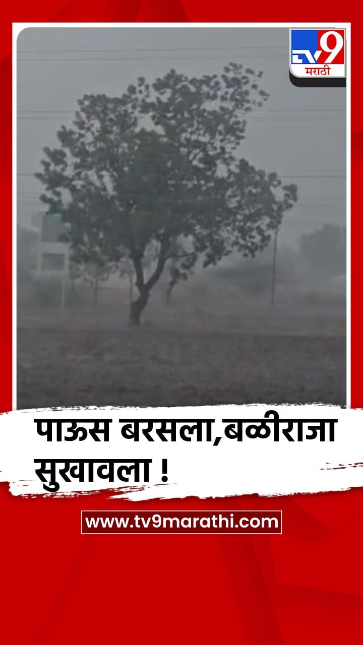 जळगाव-चाळीसगाव तालुक्यात पावसाची दमदार हजेरी, बळीराजा सुखावला-1686230