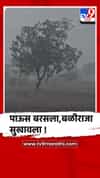 जळगाव-चाळीसगाव तालुक्यात पावसाची दमदार हजेरी, बळीराजा सुखावला