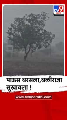 जळगाव-चाळीसगाव तालुक्यात पावसाची दमदार हजेरी, बळीराजा सुखावला-1686230