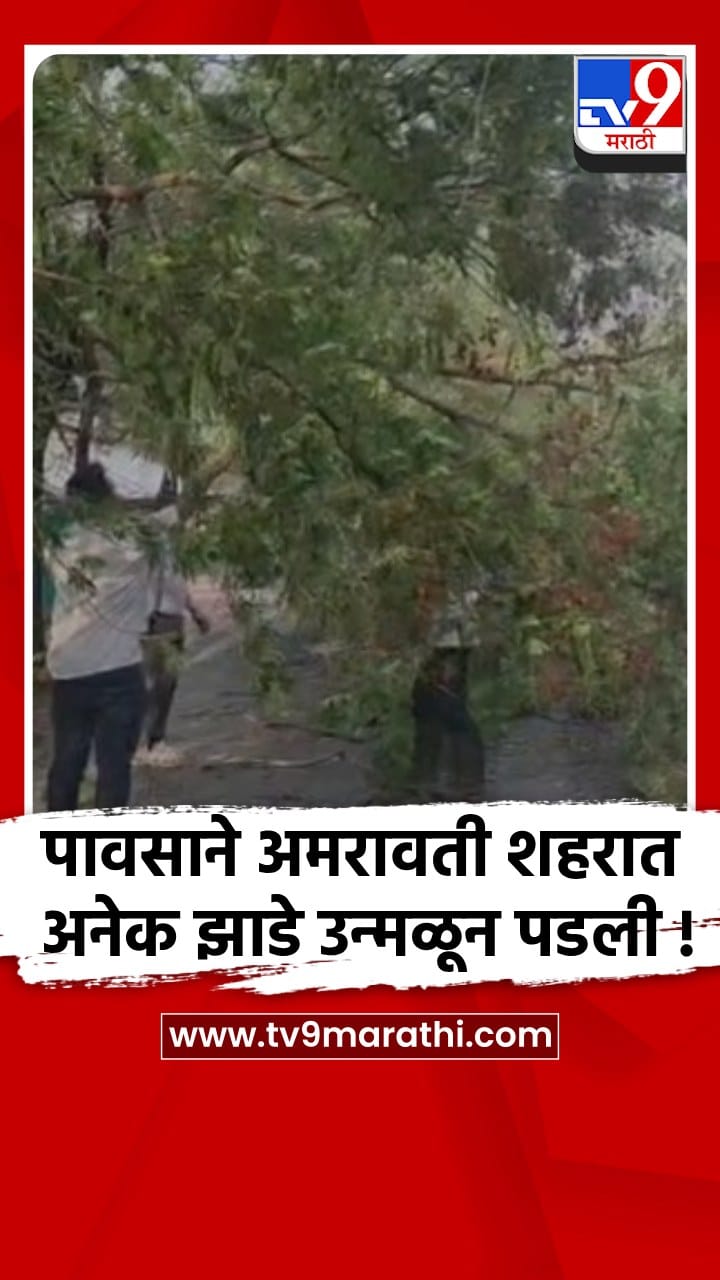 अमरावतीत जोरदार वादळी पावसाने २० पेक्षा जास्त झाडे कोसळली-1686240