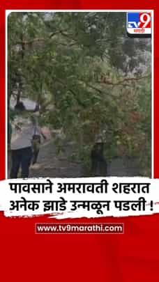 अमरावतीत जोरदार वादळी पावसाने २० पेक्षा जास्त झाडे कोसळली-1686240