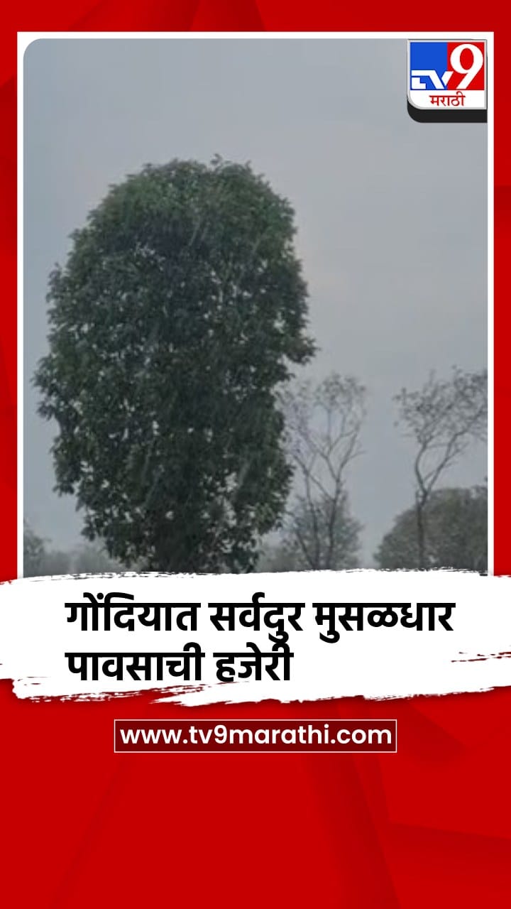 तीन दिवसांच्या विश्रांतीनंतर गोंदियात सर्वदुर मुसळधार पावसाची हजेरी-1693358