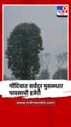 तीन दिवसांच्या विश्रांतीनंतर गोंदियात सर्वदुर मुसळधार पावसाची हजेरी