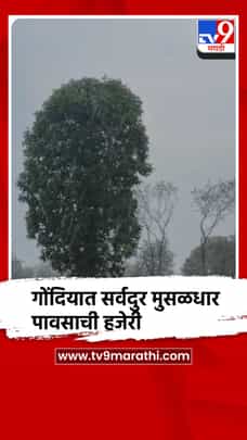 तीन दिवसांच्या विश्रांतीनंतर गोंदियात सर्वदुर मुसळधार पावसाची हजेरी-1693358