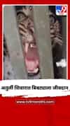 अतुर्ली शिवारात बिबट्याला जीवदान