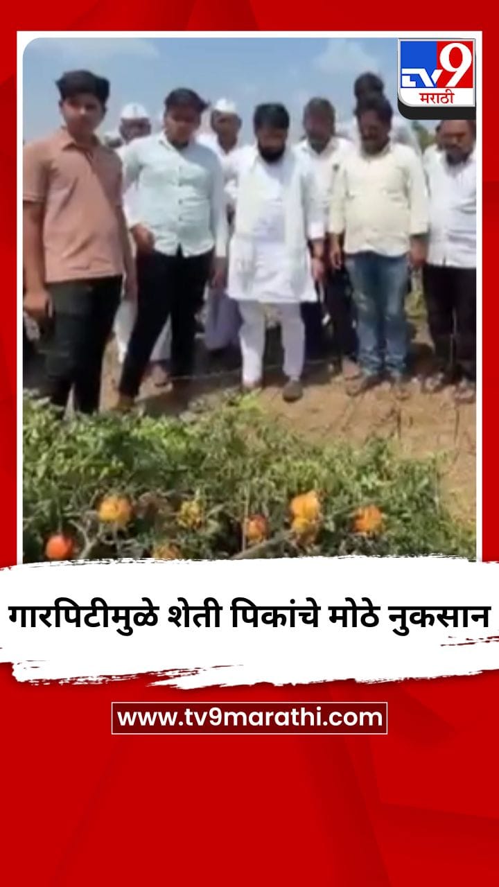 गारपिटीमुळे शेती पिकांचे मोठे नुकसान-1685065