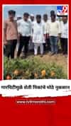 गारपिटीमुळे शेती पिकांचे मोठे नुकसान