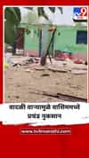 वादळी वाऱ्यामुळे वाशिम जिल्ह्यात प्रचंड नुकसान