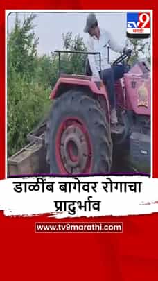 Yeola : जळगाव नेऊरमध्ये 6 एकर डाळींब बागेवर ट्रॅक्टर, शेतकऱ्याचा कठोर निर्णय-1684750