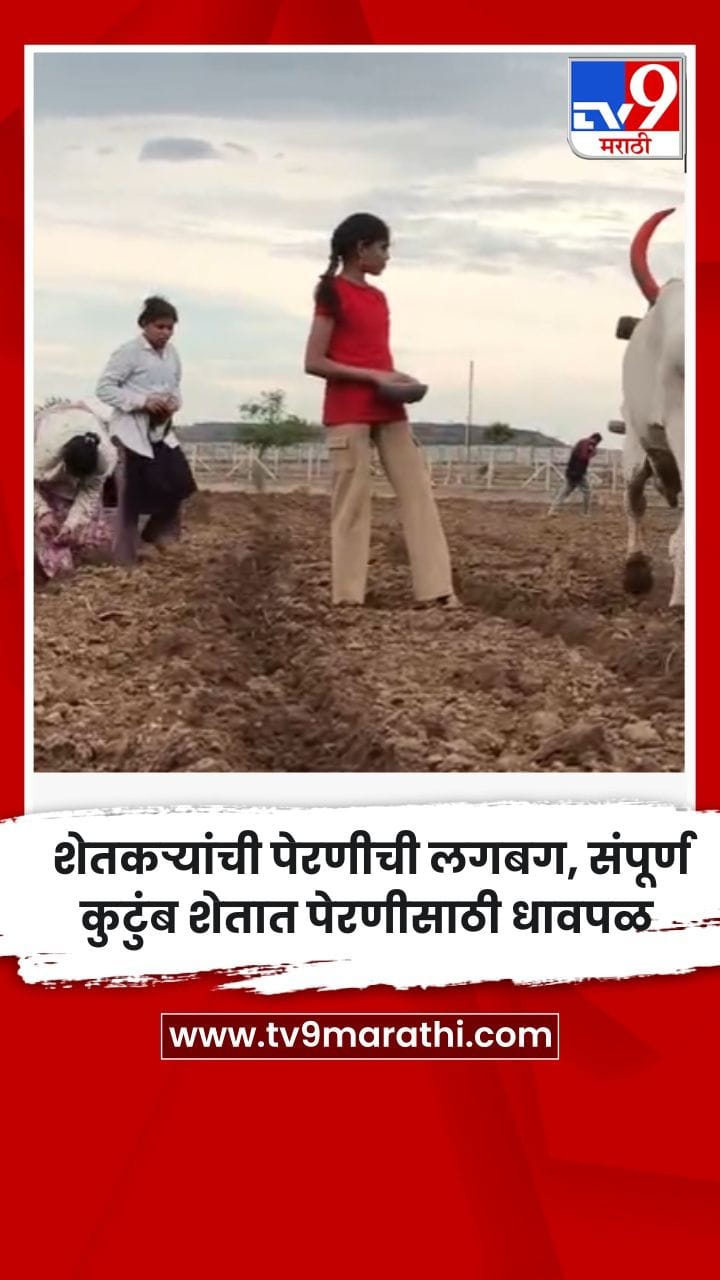  शेतकऱ्यांची पेरणीची लगबग, संपूर्ण कुटुंब शेतात पेरणीसाठी धावपळ-1701175