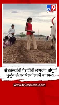  शेतकऱ्यांची पेरणीची लगबग, संपूर्ण कुटुंब शेतात पेरणीसाठी धावपळ-1701175