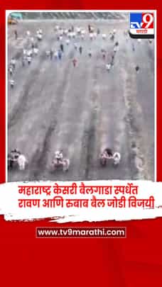 सातारा-  श्री क्षेत्र पाडळीतील महाराष्ट्र केसरी बैलगाडा स्पर्धेत रावण आणि रुबाब बैलजोडी विजयी-1687451