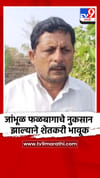 जांभूळ फळबागाचे नुकसान झाल्याने शेतकरी भावूक.