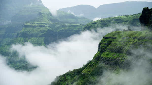 मुंबईसह राज्यभरात मान्सूनने जोरदार हजेरी लावली असून वातावरण आल्हाददायक झाले आहे. अशा पावसाळी दिवसांत विकेंडला शहराच्या धावपळीपासून दूर जाऊन निसर्गाच्या सान्निध्यात वेळ घालवण्याची इच्छा अनेकांची असते. धुक्याने वेढलेले डोंगर, कोसळणारे धबधबे, हिरव्यागार दऱ्या आणि थंडगार वारा अनुभवायचा असेल तर मुंबईपासून काही तासांच्या अंतरावर असलेली ही चार हिल स्टेशनं उत्तम पर्याय ठरू शकतात.