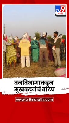 वाघांच्या हल्ल्यापासून संरक्षणासाठी तेंदुपत्ता मजुरांना मुखवट्याचं वाटप-1681494