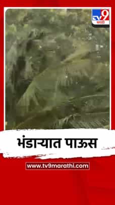 भंडाऱ्यात वादळी वाऱ्यासह पावसाची जोरदार हजेरी-1687668