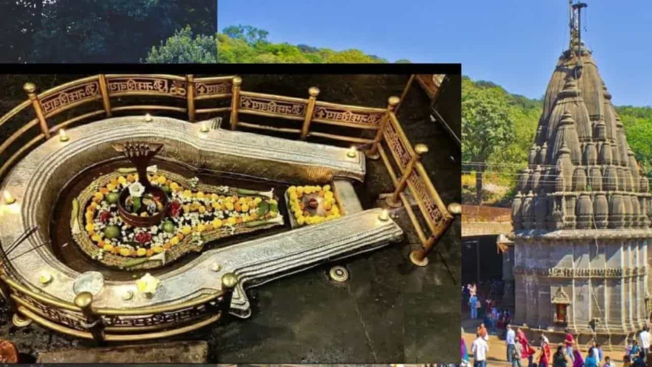 भीमशंकर देवस्थानाबाबत मोठा निर्णय! आता VIP दर्शन बंद; नवा नियम नेमका काय?