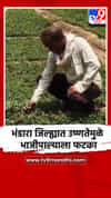 भंडारा जिल्ह्यात उष्णतेमुळे भाजीपाल्याला फटका, शेतकरी संकटात!