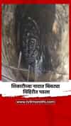 शिकारीच्या नादात बिबट्या विहिरीत पडला