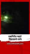 रत्नागिरीत पहाटे बिबट्याचे दर्शन