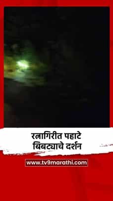 रत्नागिरीत पहाटे बिबट्याचे दर्शन-1698566
