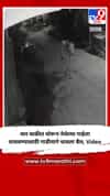 चार चाकीत चोरून नेलेल्या गाईला वाचवण्यासाठी गाडीमागे धावला बैल, Video