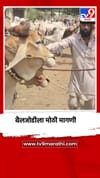 पेट्रोल-डिझेलची दरवाढ, बैलजोडीला मोठी मागणी.