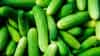 Cucumber Buying Tips : काकडी कडू आहे की नाही ? विकत घेण्याआधीच कसं ओळखाल?, वापरा ही छोटीशी युक्ती, पैसे जाणार नाहीत वाया