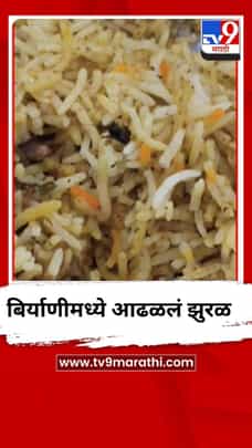 धाराशिवच्या प्रसिद्ध मातोश्री बिर्याणी हॉटेलमधील बिर्याणीत आढळलं मेलेलं झुरळ-1686277