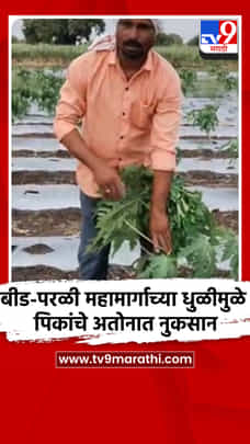बीड-परळी महामार्गाच्या धुळीमुळे पिकांचे अतोनात नुकसान-1686819
