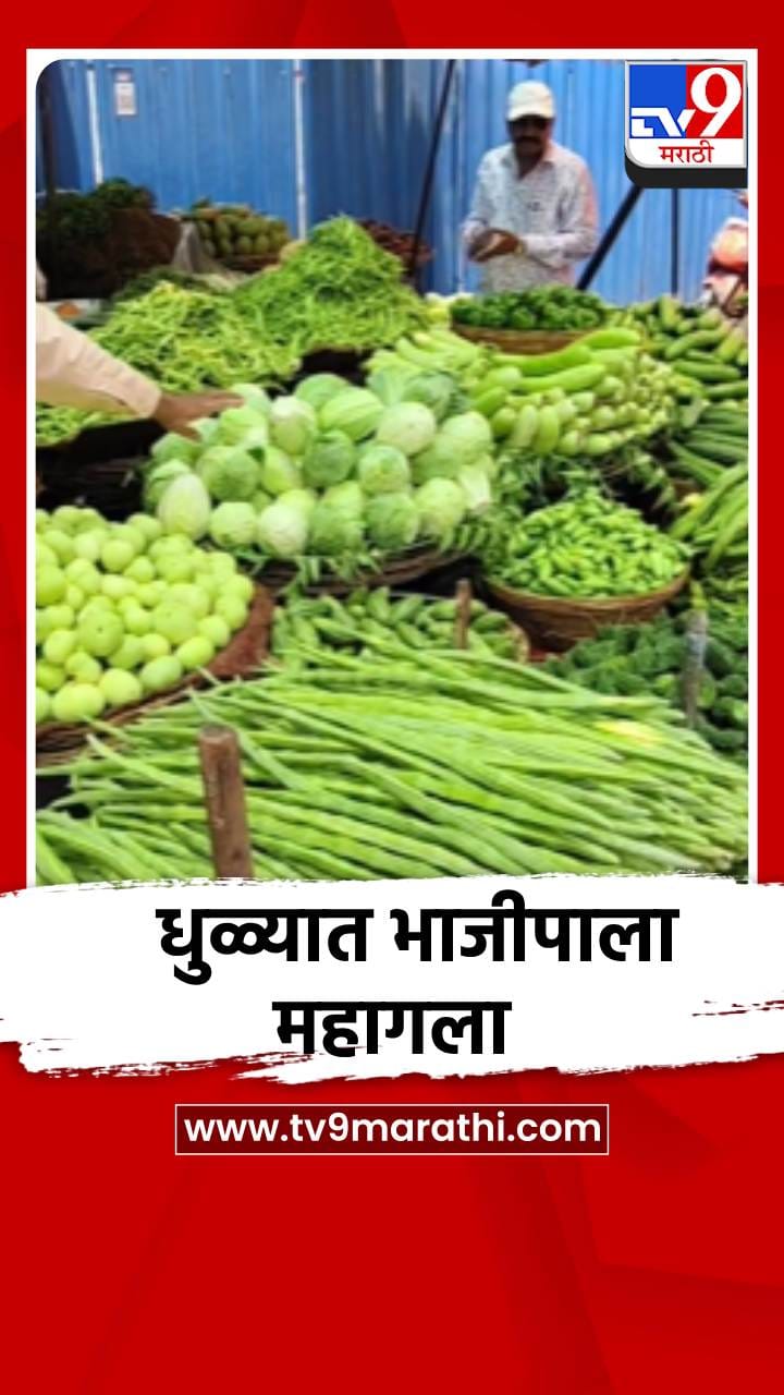धुळ्यात भाजीपाला महागला, पाऊस लांबल्याने फटका-1689946