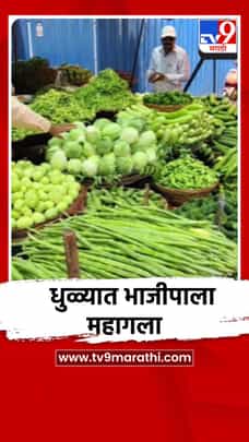 धुळ्यात भाजीपाला महागला, पाऊस लांबल्याने फटका-1689946